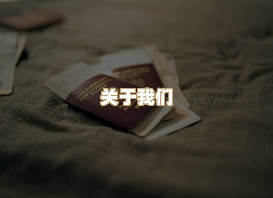 关于柔石学历排版网